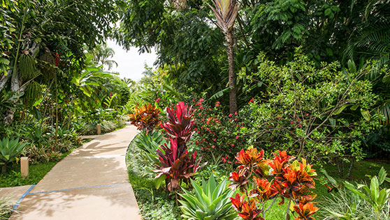 Walkways through the gardens at Xandari Resort and Spa Costa Rica